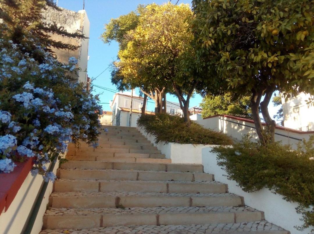 Casa Pelourinho Villa Silves Bagian luar foto